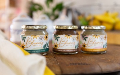 nut-free treats for kids Made with Sunflower butter