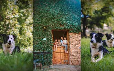 Pet-Friendly Accommodation South Africa | Tegwaan Country Getaway